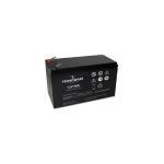 Batteria UPS gruppo di Continuità TECNOWARE 12V 9AH FASTON 6.3MM