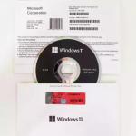 Windows 11 Professional Italiano 64 Bit Sticker