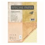 Carta Bapi Special Paper Pergamena Avorio 160Gr 25 fogli